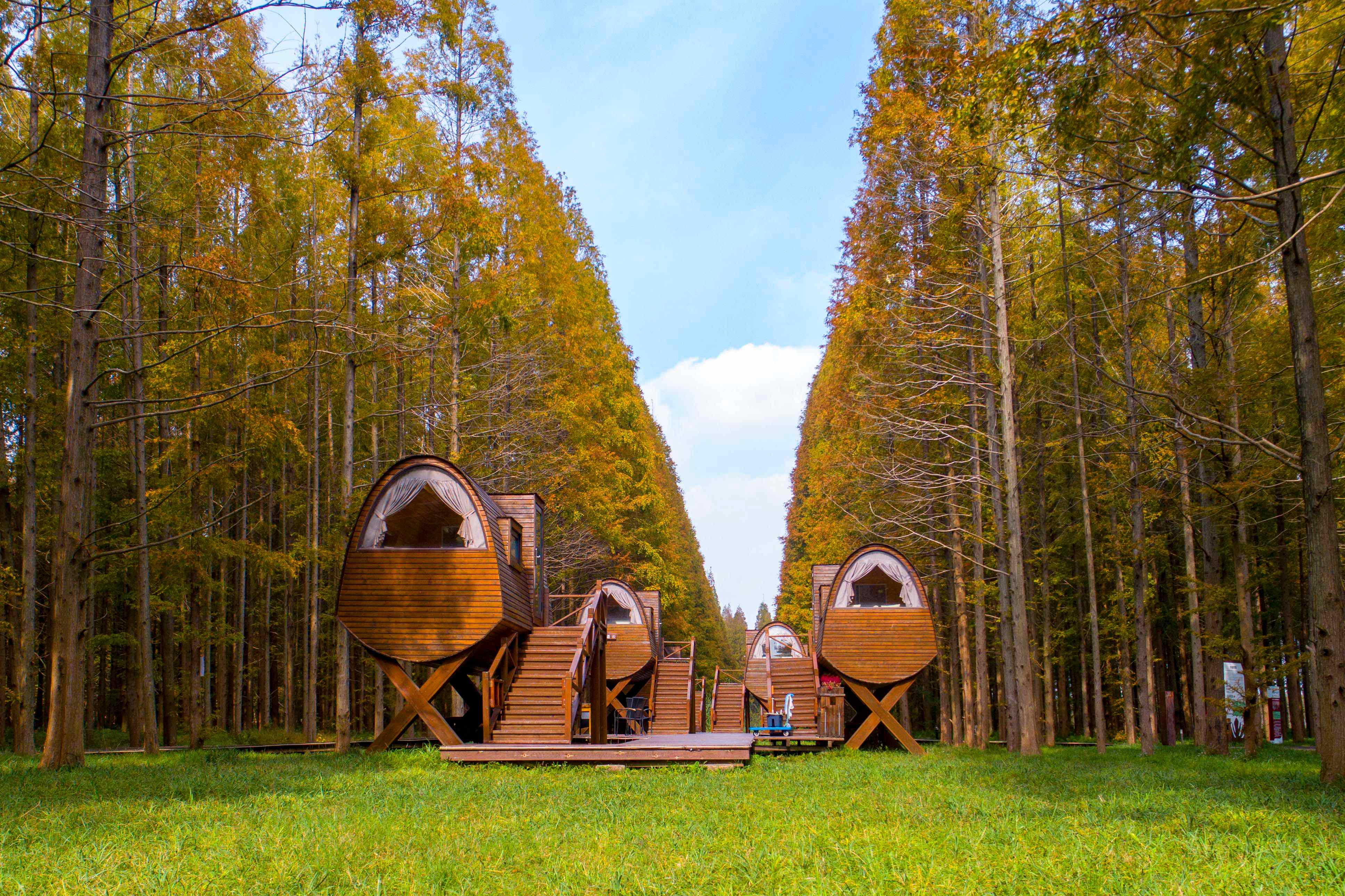 3_副本.jpg 3_副本.jpg